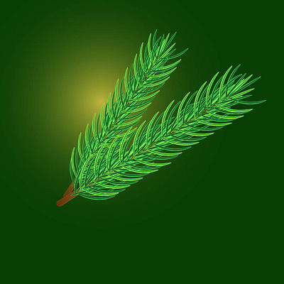 pinetree design illustration