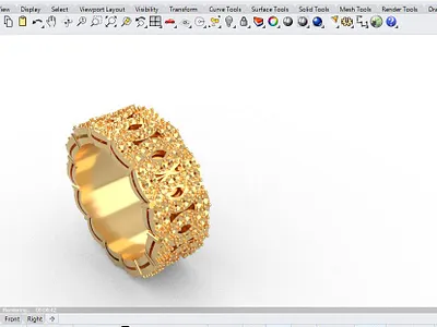 chain ring
