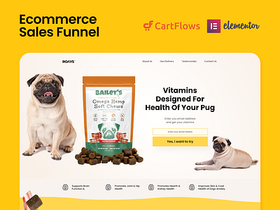 Ecommerce Sales Funnel ecommerce design ecommerce shop funnels product design sales funnel ui design ux design