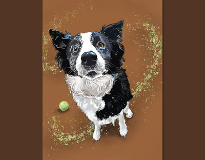 Bella - portrait 🎾 adobe sketch border collie dog illustration portrait tennis ball