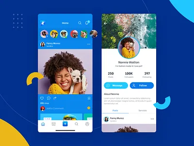 PetInsta application instagram ios app pet social ui ux