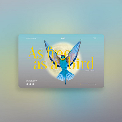 Bird concept design graphic graphic design ui uiuxdesign uiuxdesigner ux web webdesign