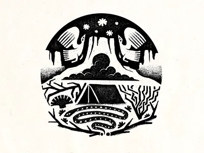 Big Bend backpacking bird birds camping hand drawn hand drawn illustration handmade hiking mountain mountains national park procreate rough snake texas texture