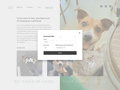 Daily UI 016 (Pop-up / Overlay) daily 100 challenge daily ui design ui