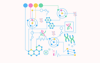 System biology circuit design dna geometric art geometry illustration minimal pharma rebound system warmup