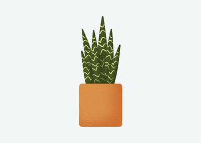 Snake Plant house plant illustration texture vector