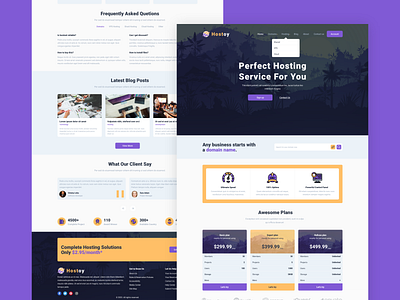 HOSTOY design domains homepage hosting servers ui ui design ux web website