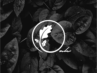OAK design flat logoconcept logodesign logodesigner simple vector