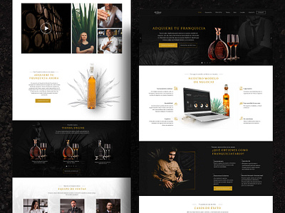 Tequila Web Design concept design designinpiration homepage interfacedesign tequila ui uidesign ux web website