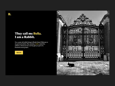 A personal website for a Bella the Rabbit design frontend graphic design icon illustration logo typography ui ux vector web website