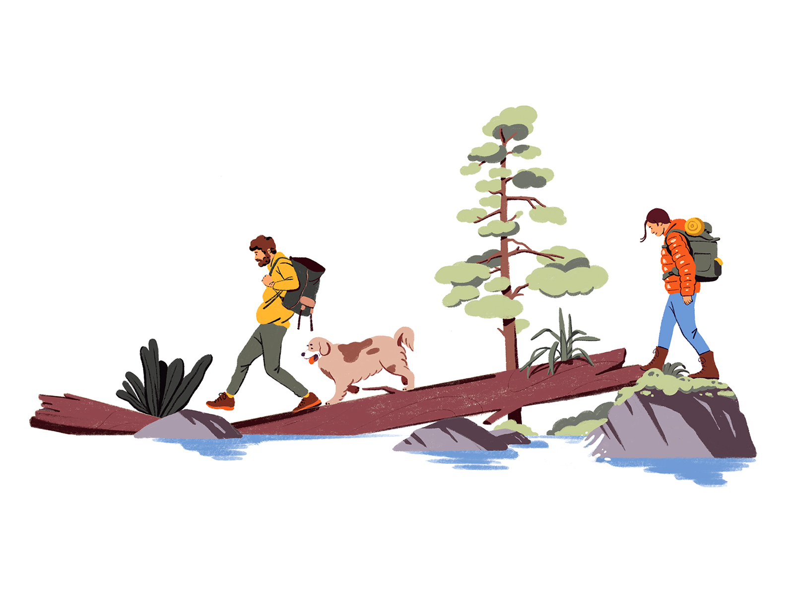 Example of Hiking
