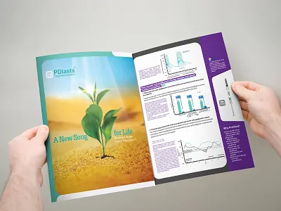 PDlasta Brochure branding brochure illustration