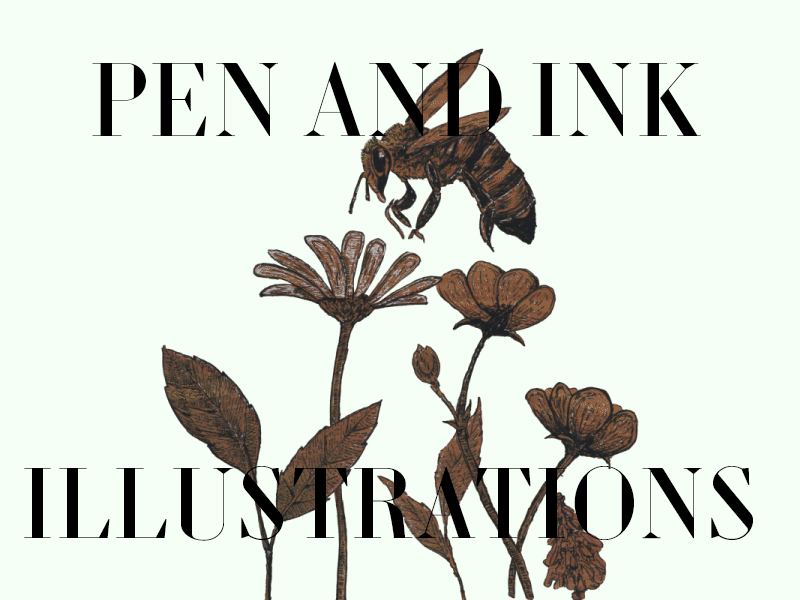 BEE animated animated gif graphic design illustration