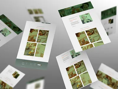 Strategy Hub Portfolio ui