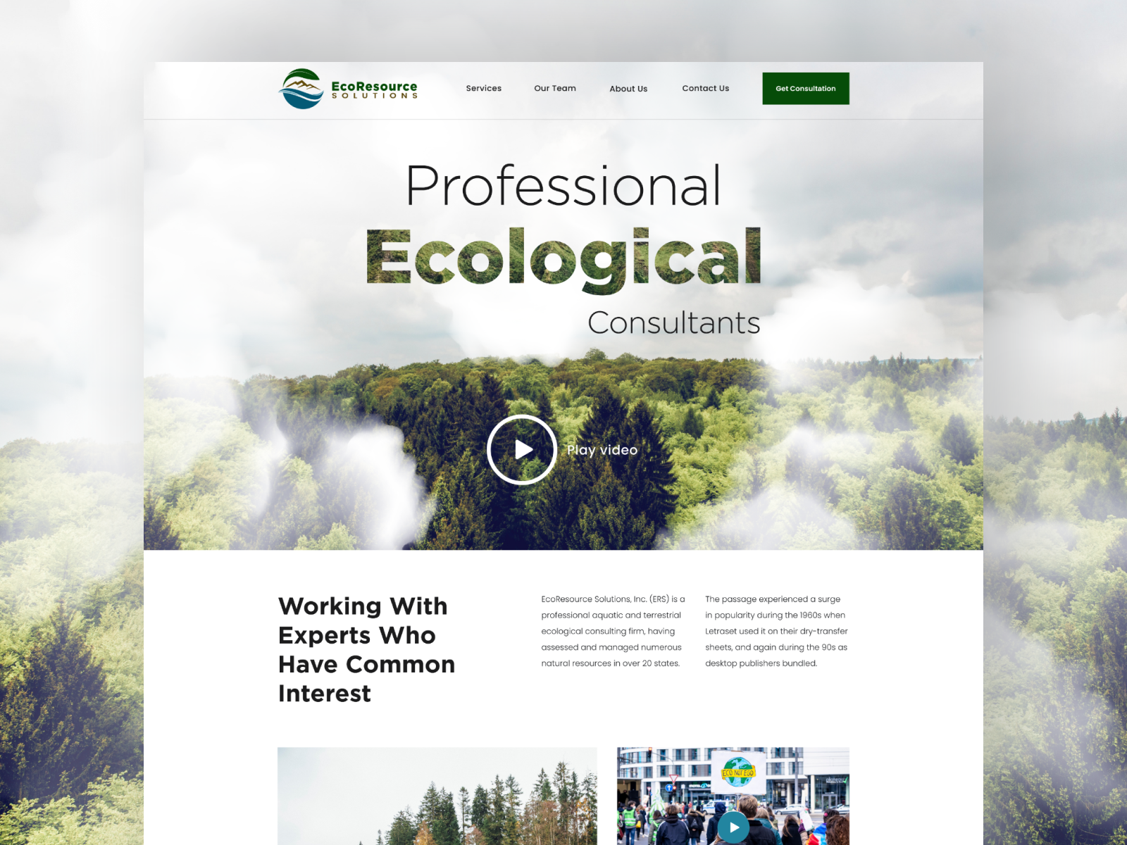 Example of Web design for Ecological Consultants (Green, Eco, Ecology)
