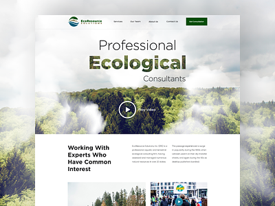 Web design for Ecological Consultants (Green, Eco, Ecology) clean design cloud creative design design eco ecology forest green layout modern design nature redesign ui ux water website design