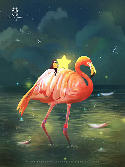 Star River Flamingo flamingo travel 插图