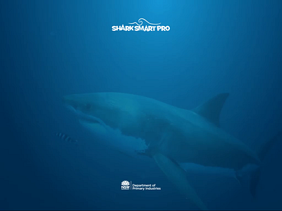 SharkSmart Pro - Login screen with video creative ipad app ipad pro mobileapp ui uidesign uxui webdesign