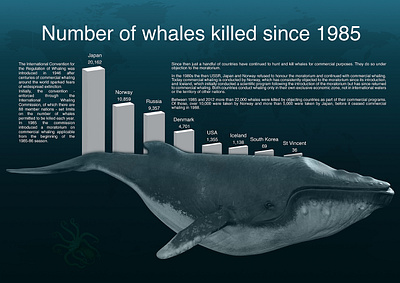 Whales Infographic illustration infographic information design photomanipulation poster poster design