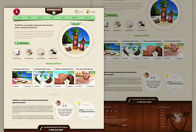 Coconut Love web design wordpress design