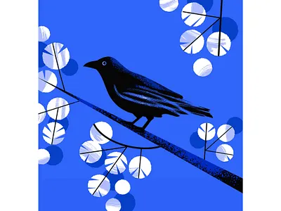 Raven birds black black bird blue digital illustration foliage illustration leaves nature raven white