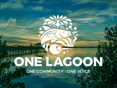 One Lagoon Branding brand indentity branding graphic design infographics logo vector visual identity