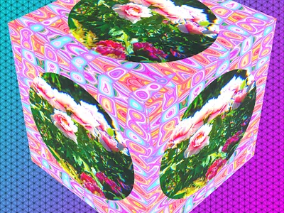 Flower Marble Cube 1 3d collage design flower graphicart graphicdesign photoshop 清水公園 牡丹