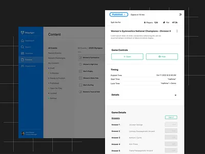 Edit Game Details raidon ui ux