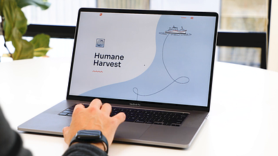 Humane Harvest at Bristol Wave Seafoods animation branding design fish fishing graphic design illustration ui ux web webpage website