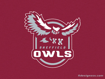 Owls brand branding design esports graphic design illustration logo mascot owl crest owl logo owlbadge owls mascot sports sports design sports identity design sports logo ui