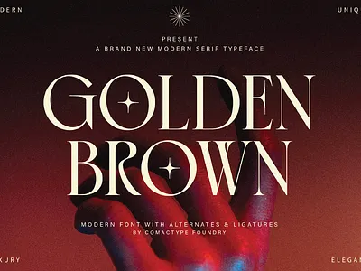 GOLDEN BROWN Typeface branding display font fontdesign fonts graphic design modern typeface typography