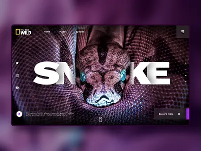 "SNAKE" UI Shot, Nat Geo Wild. brand uiux dailyuichallenge design landing page landing page design ui uidesign uiux userinterfacedesign webdesign