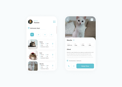 Pet Adoption App UI app design appdesigner design designer dribble pet adoption petapp ui uibeginner uidesign uidesigner