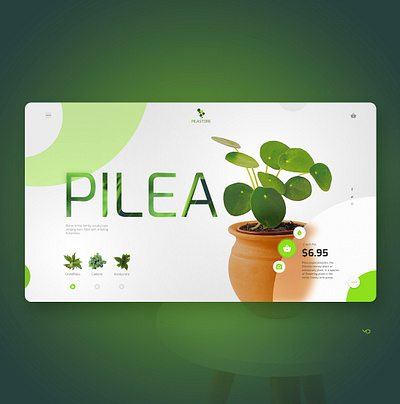 PILEA design flat graphic icon logo typography ui web webdesign website