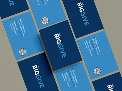 The Big Give Branding Identity branding design graphic design logo non profit visual design