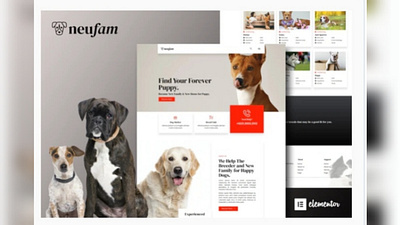 Neufam design designer designs ui ux web webdesign webdesigner website wordpress design
