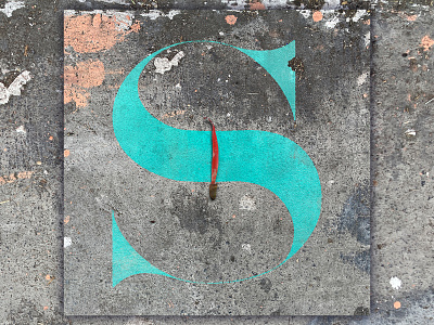 S - 36 Days of Type 36daysoftype adobe alphabet design graphic design illustrator photography photoshop typedesign typography