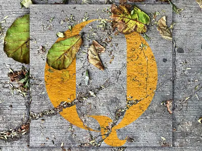 Q - 36 Days of Type 36daysoftype adobe alphabet design graphic design illustrator photography photoshop typedesign typography