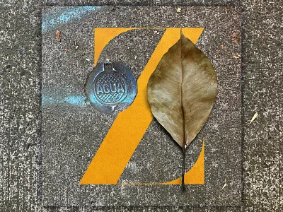 Z - 36 Days of Type 36daysoftype adobe alphabet design graphic design illustrator photography photoshop typedesign typography