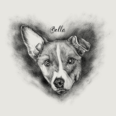 Dog Illustration: Bella animaldrawing dog dogart dogdrawing drawing illustration petdrawing petillustration sketch