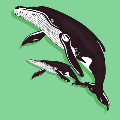 Baby whale with mom design flatdesign flatposter illustration vector