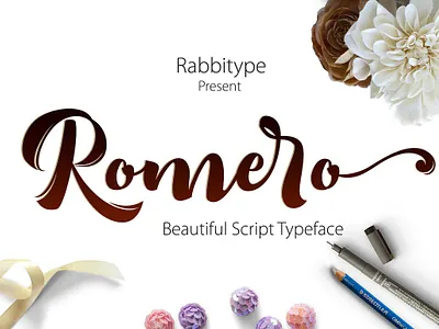 Romero Script animation branding design graphic design illustration illustrator minimal typography vector web website