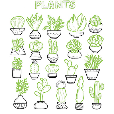 Plants and pots doodlesbyniki illustration