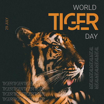 Tiger Day cover design design graphic design poster design