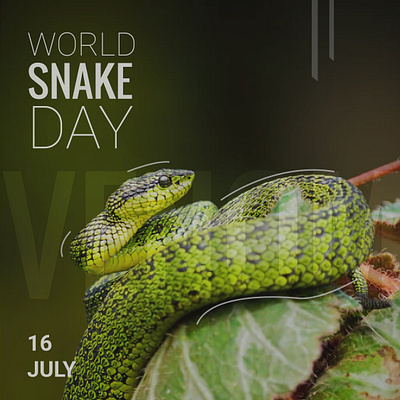 WORLD SNAKE DAY cover design design graphic design illustration poster design