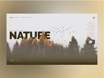 Climate change awareness Website design flat illustration inspiration minimal nature ui ux web website design