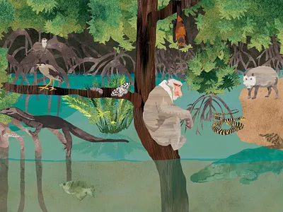 The Mangrove forest animal art book character children digital digitalart drawing illustration nature