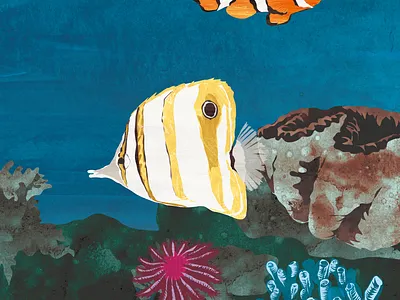 Corals animal art book books children design digital drawing illustration