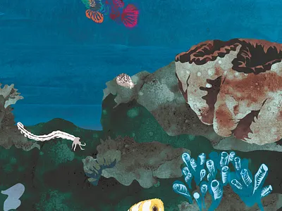 Corals animal art book books children digital digitalart illustration nature