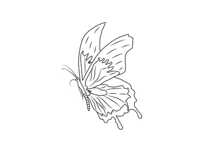 Illustration animation design digital art illustration illustration art line art minimal one color one line art vector